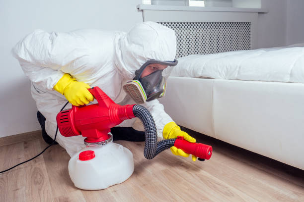 Best Affordable Pest Control Services  in Paducah, KY