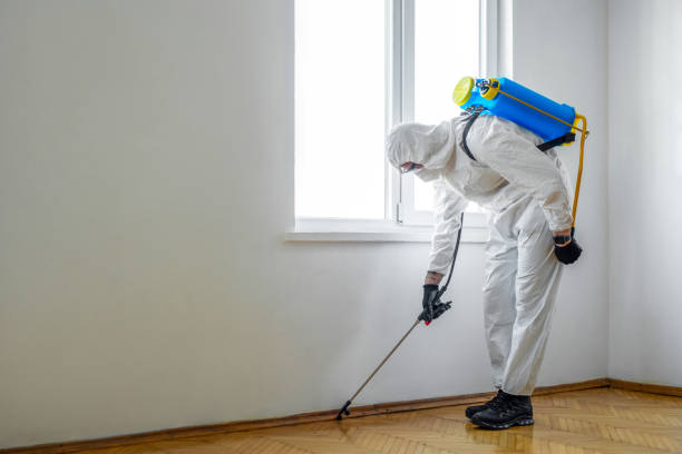 Best Flea Control Services  in Paducah, KY
