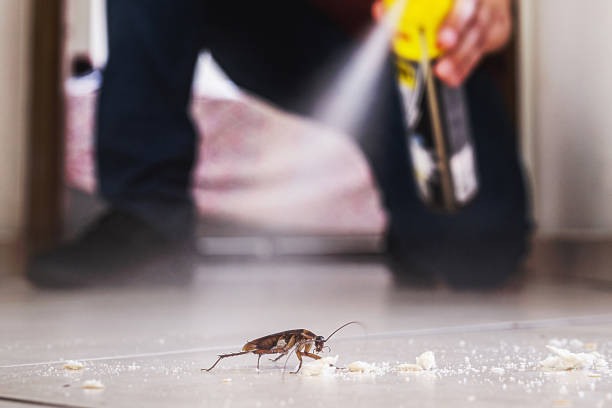 Best Pest Control Near Me in Paducah, KY